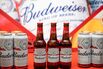 Budweiser Brewing Company APAC Ltd CEO Jan Craps News Conference