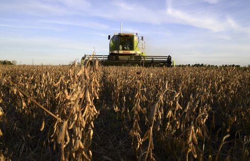 Soybean Harvest on a Farm near Salto, Argentina