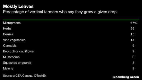 Vertical Farming’s Success Depends on the Cheapest Lightbulb
