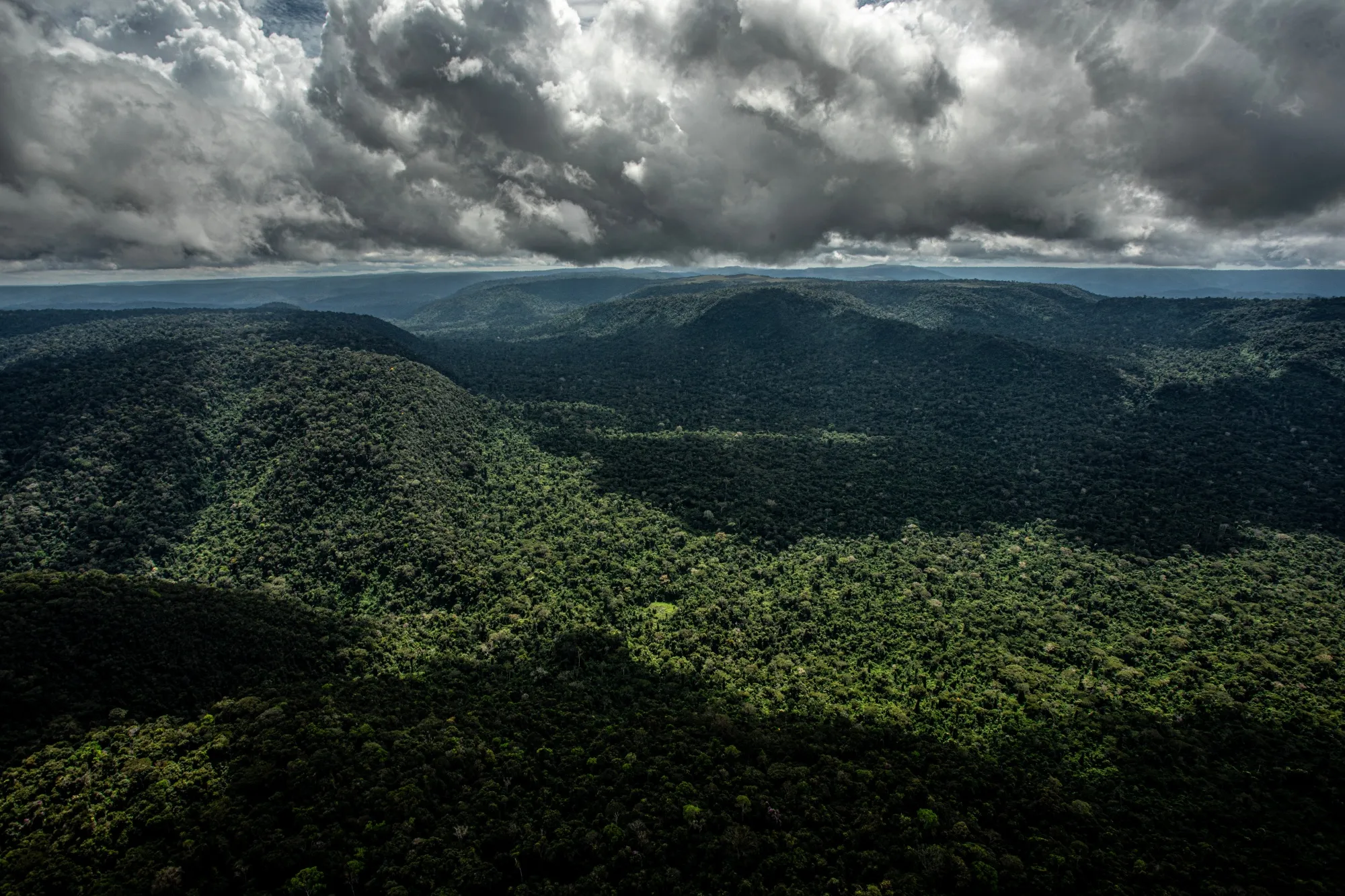 The National Forest in the Carajas mountain range near Parauapebas, Para state, Brazil.