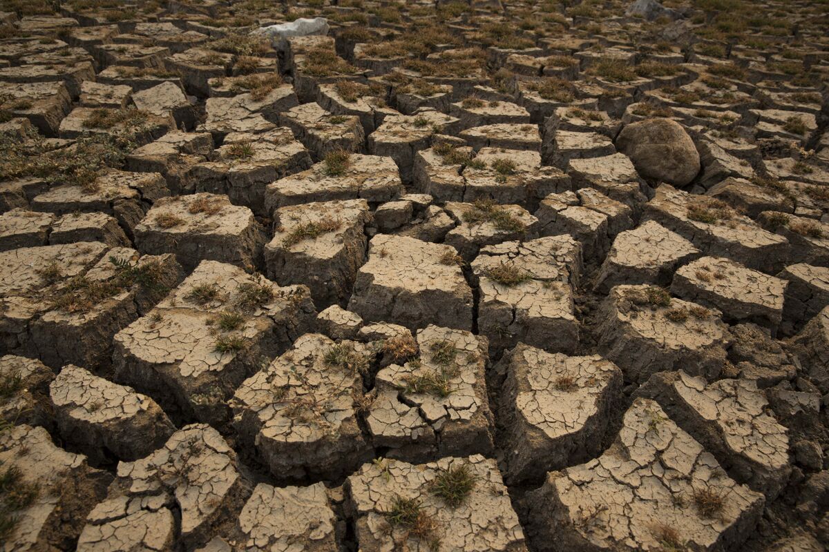 Chart-Topping Pacific Ocean Heat Augurs Unusually Strong El Niño