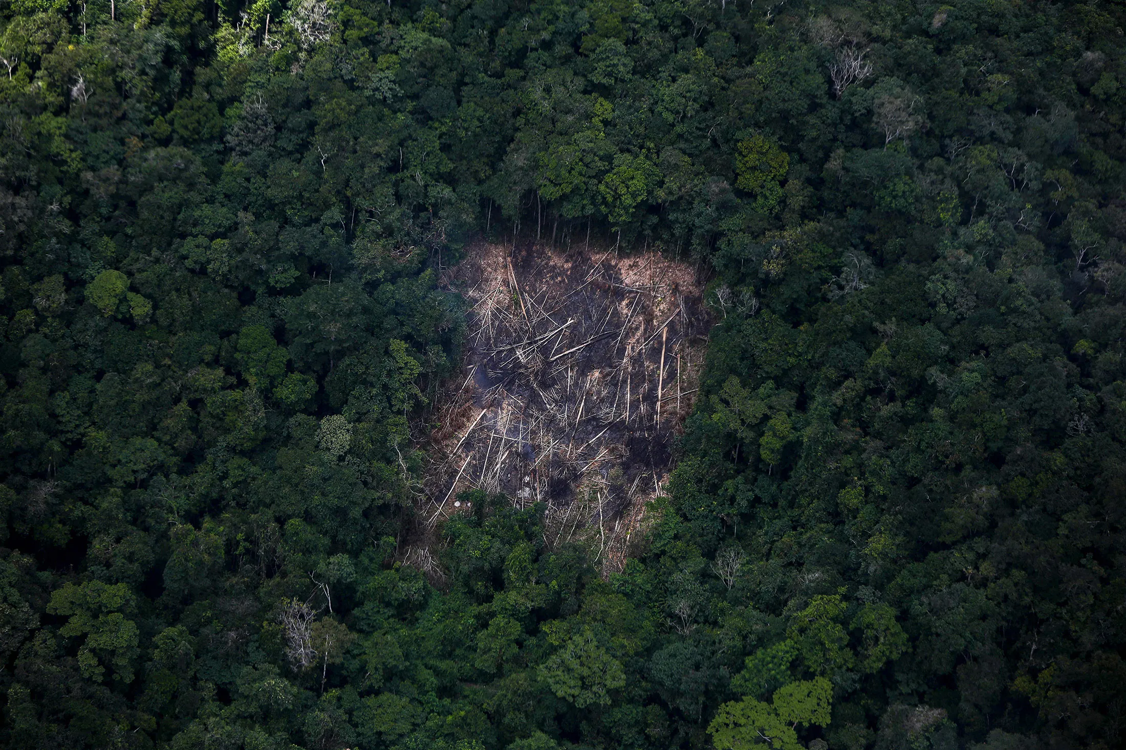 A deforested area of the Amazonian rainforest at in the state of Roraima, Brazil.