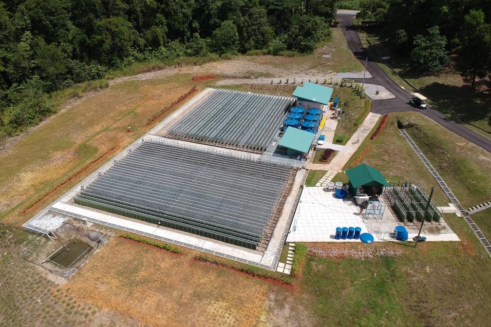 An algae cultivation facility in Malaysia.