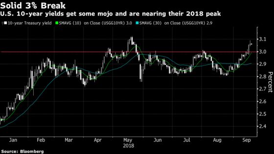 Treasury Yields Take Flight, Setting Up Big Shorts for Rewards