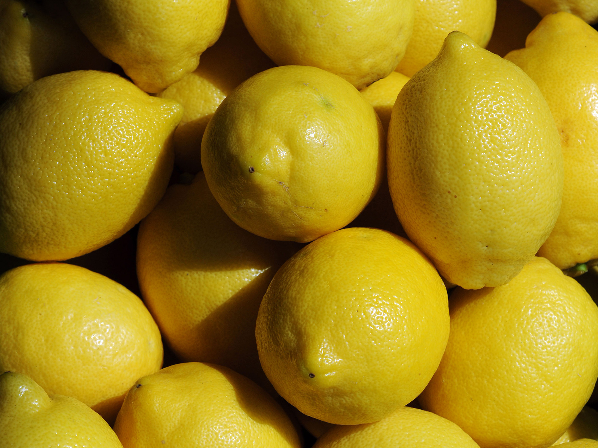 It Rained So Much in California That Lemons Turned Out Giant Bloomberg