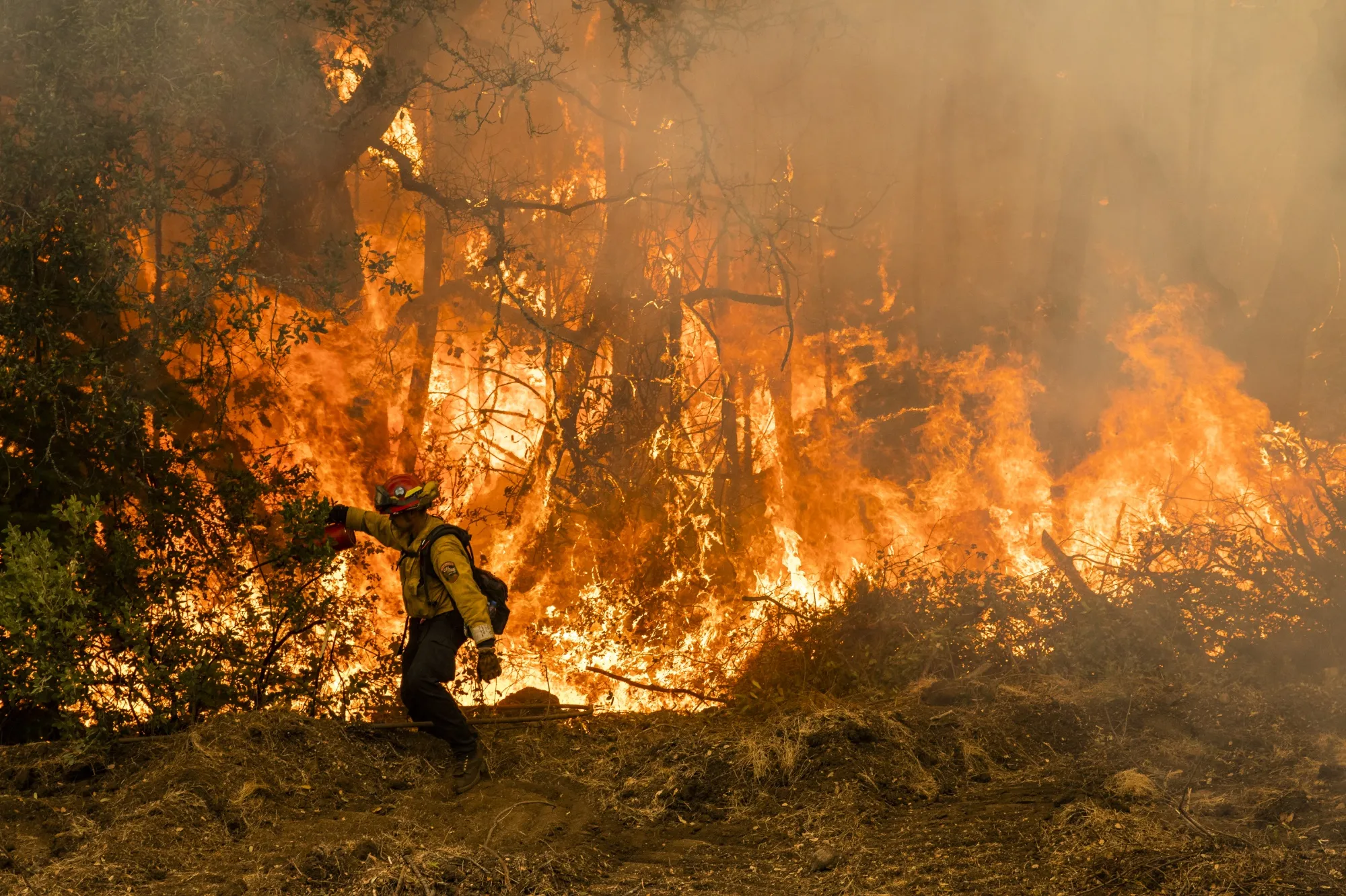 More California Fires Erupt As Dry Winds Make State A Tinderbox 