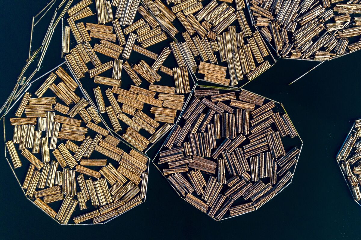 Trump Sets 10% Tariff on Softwood Lumber Imports, 25% on Cabinets