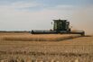 A Wheat Harvest As Crop Futures Sink To Pre-War Levels