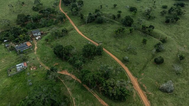 A small producer house just aside a square geoglyph cut in two by a dirt road.