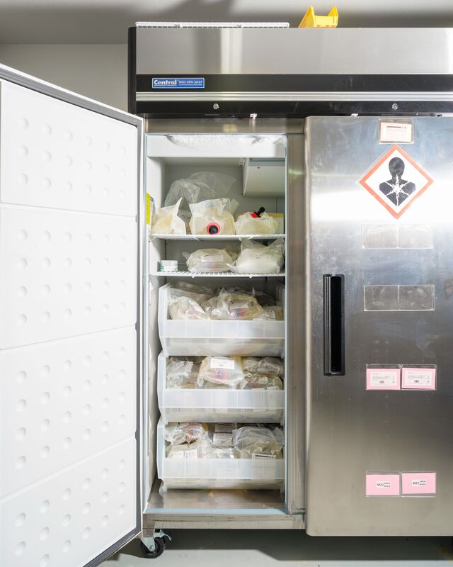 A refrigerator full of M22, the solution used in vitrification, currently the preferred method for cryopreservation.
