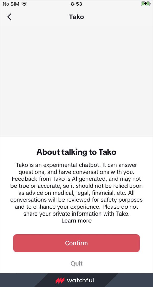 стосується TikTok тестує чат-бота зі штучним інтелектом під назвою Tako