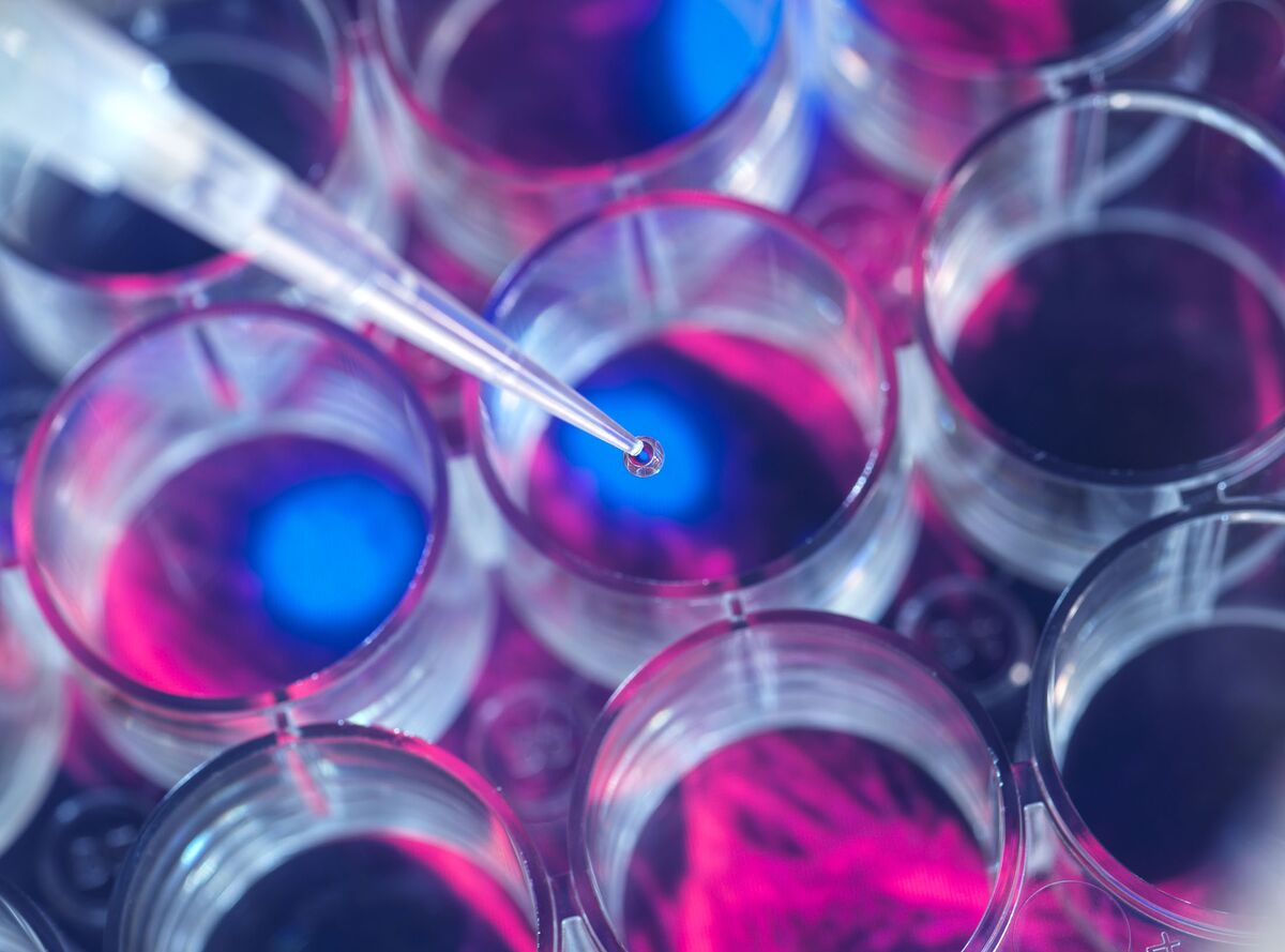 Genmab Is Said to Near Deal to Buy Cancer Drugmaker Merus