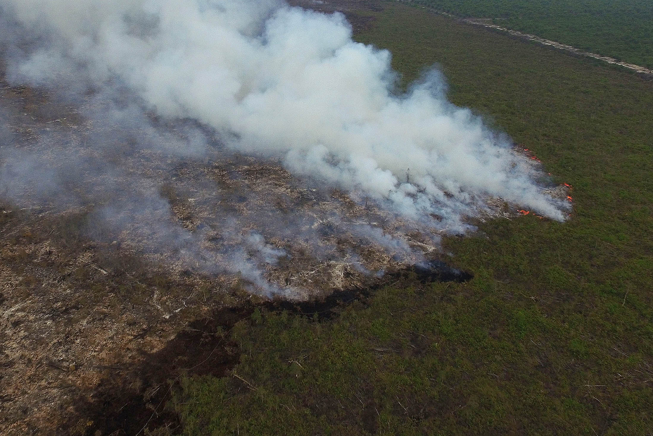 Smoke rises from a forest fire in South Sumatra, Indonesia.
