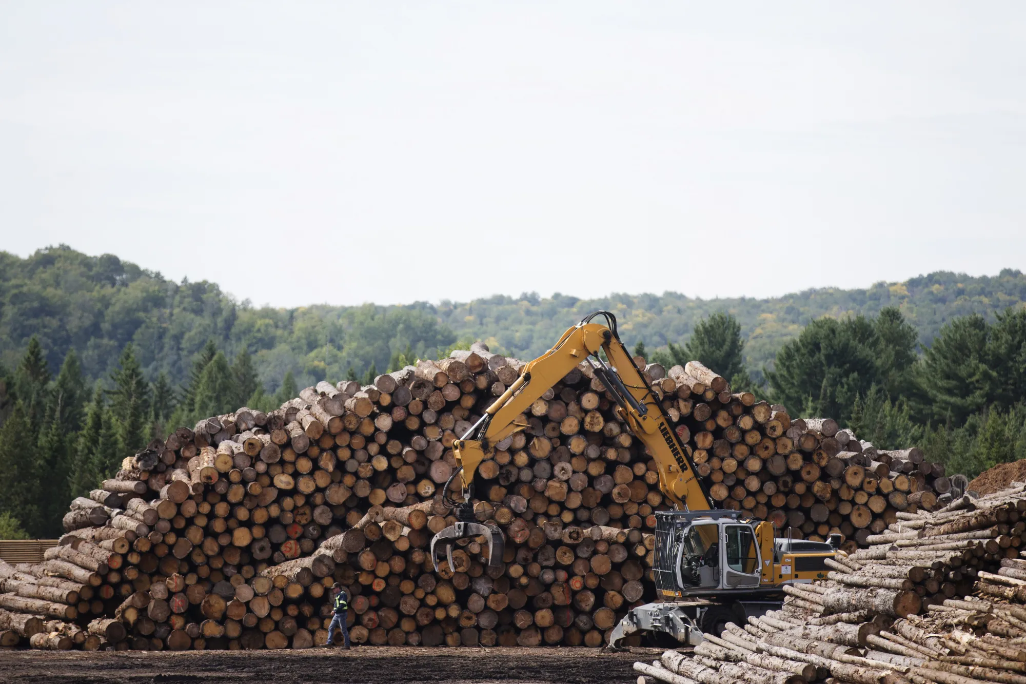 Operations At A Groupe Crete Inc. Lumber Yard As Lumber Futures Rise