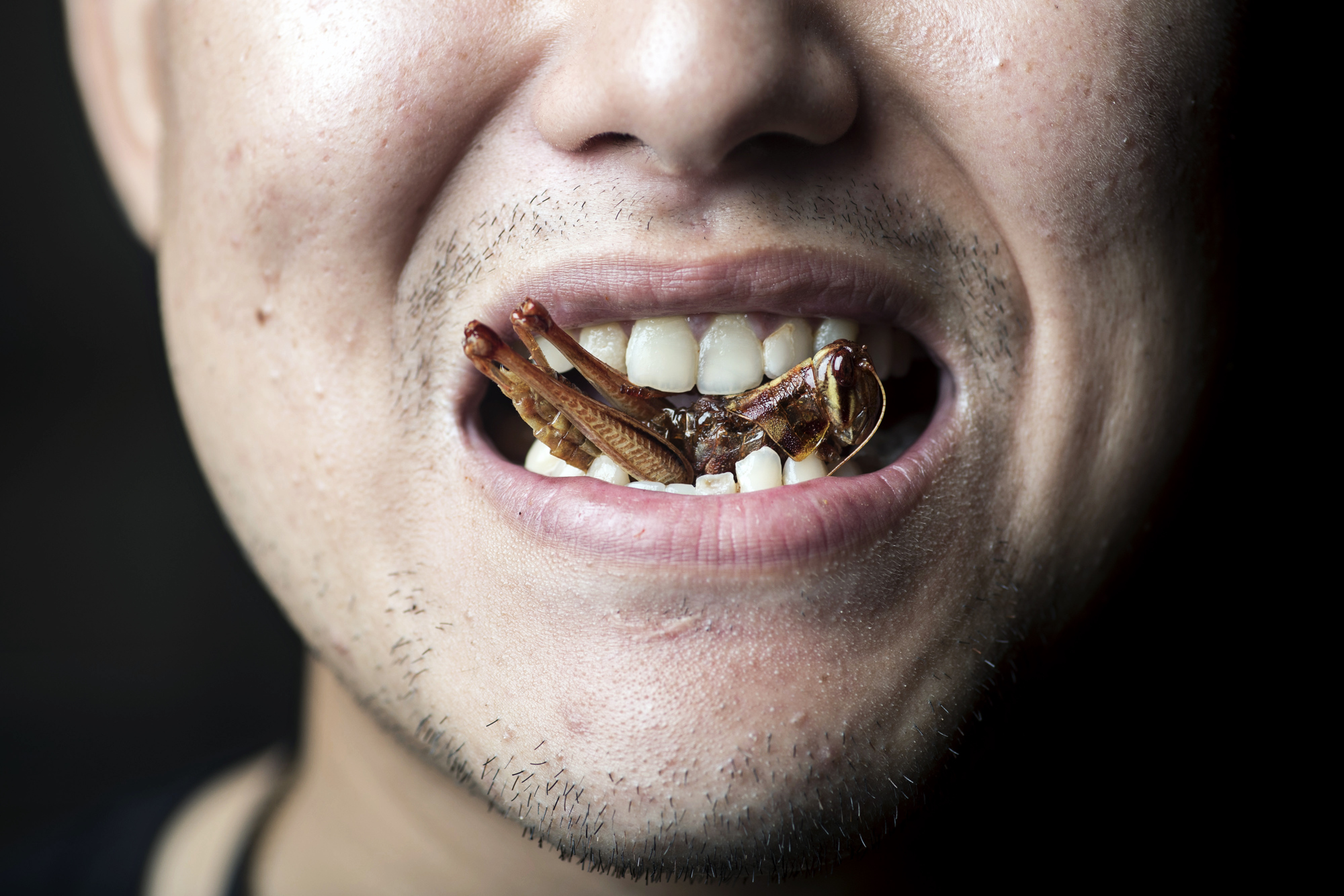 This Bangkok Restaurant Is Taking Insects to the Next Level - Bloomberg