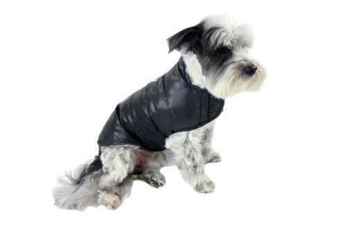 The Featherlite Packable Down Dog Coat in black.