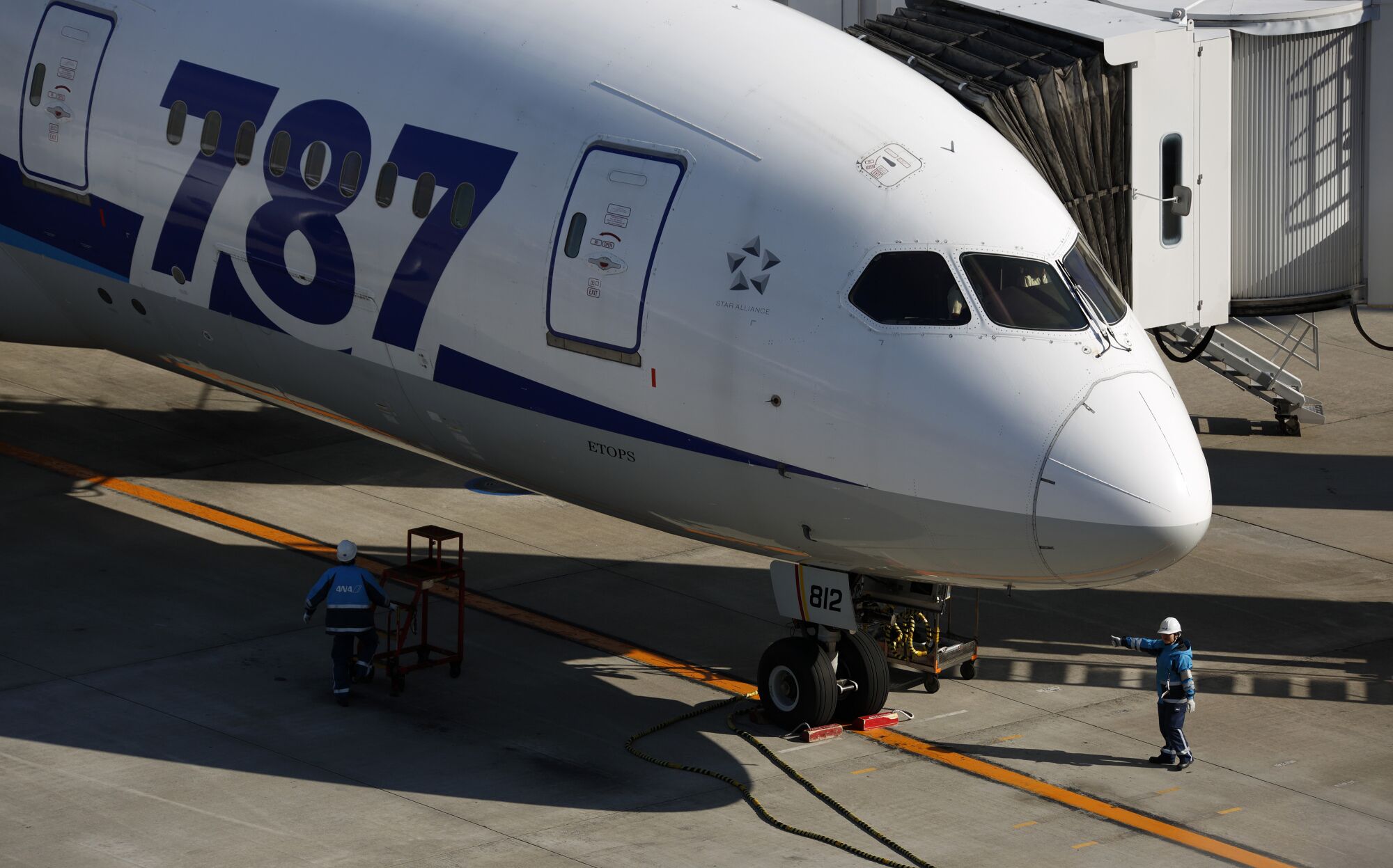 Boeing 787 Issues ‘Mushroom’ With No Fix In View, Air Lease Says ...