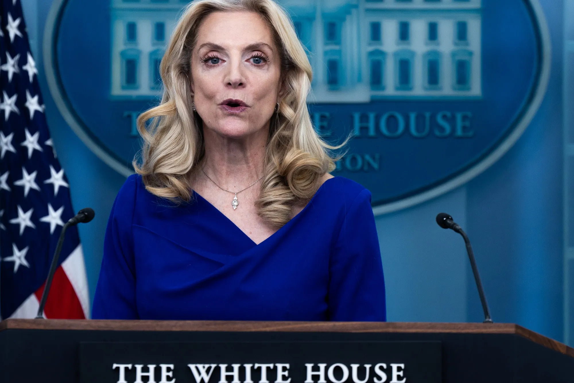 Lael Brainard