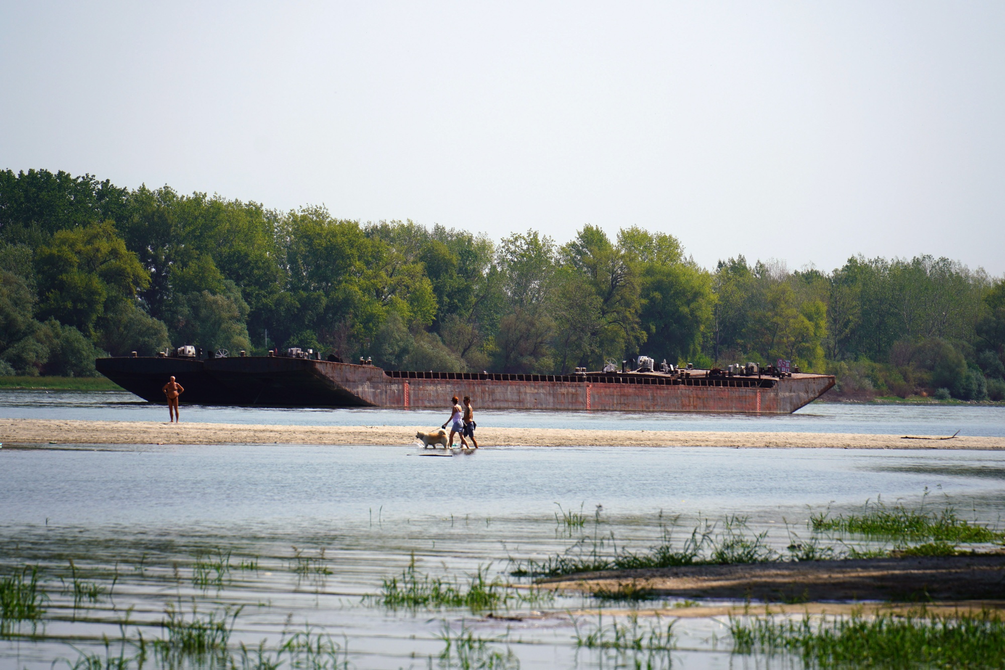 Image associated with story "Record-Low Danube Disrupts Nuclear Plants, Strands Cruises"