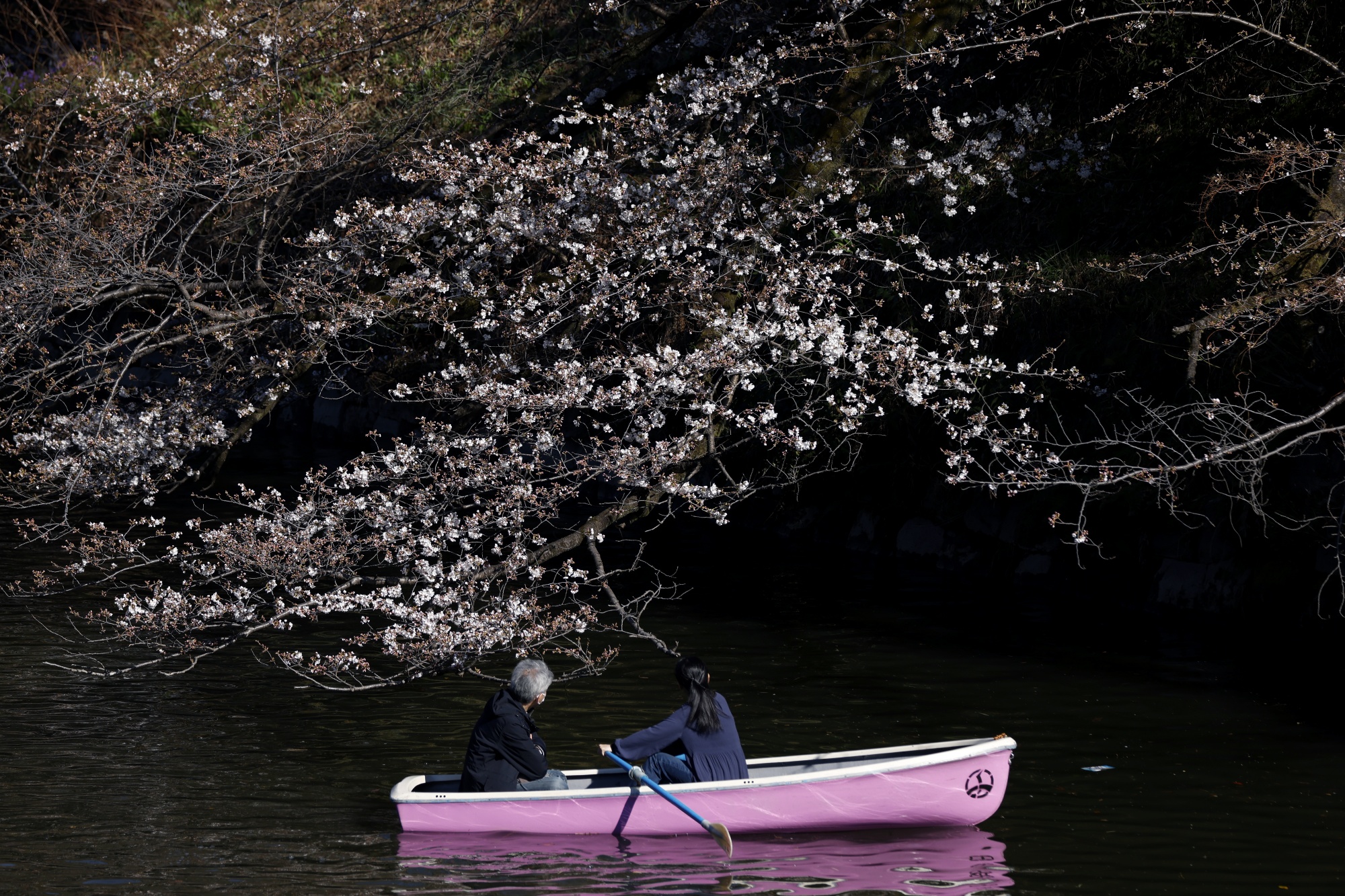 Forget Cherry Blossoms — Why Fall May Be the Best Time to Visit Japan, Travel