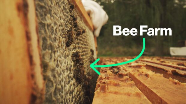 About Bee Seasonal, Ethical Honey Brands