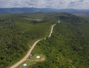 relates to World’s Largest Forestry Offsets Project Has License Revoked