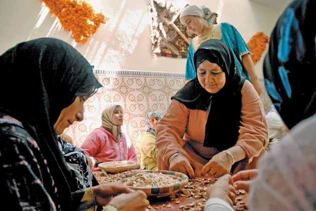 Berber women have formed co-ops to produce and sell argan. Women earn about 40 dirhams, or $4, for a day’s work
