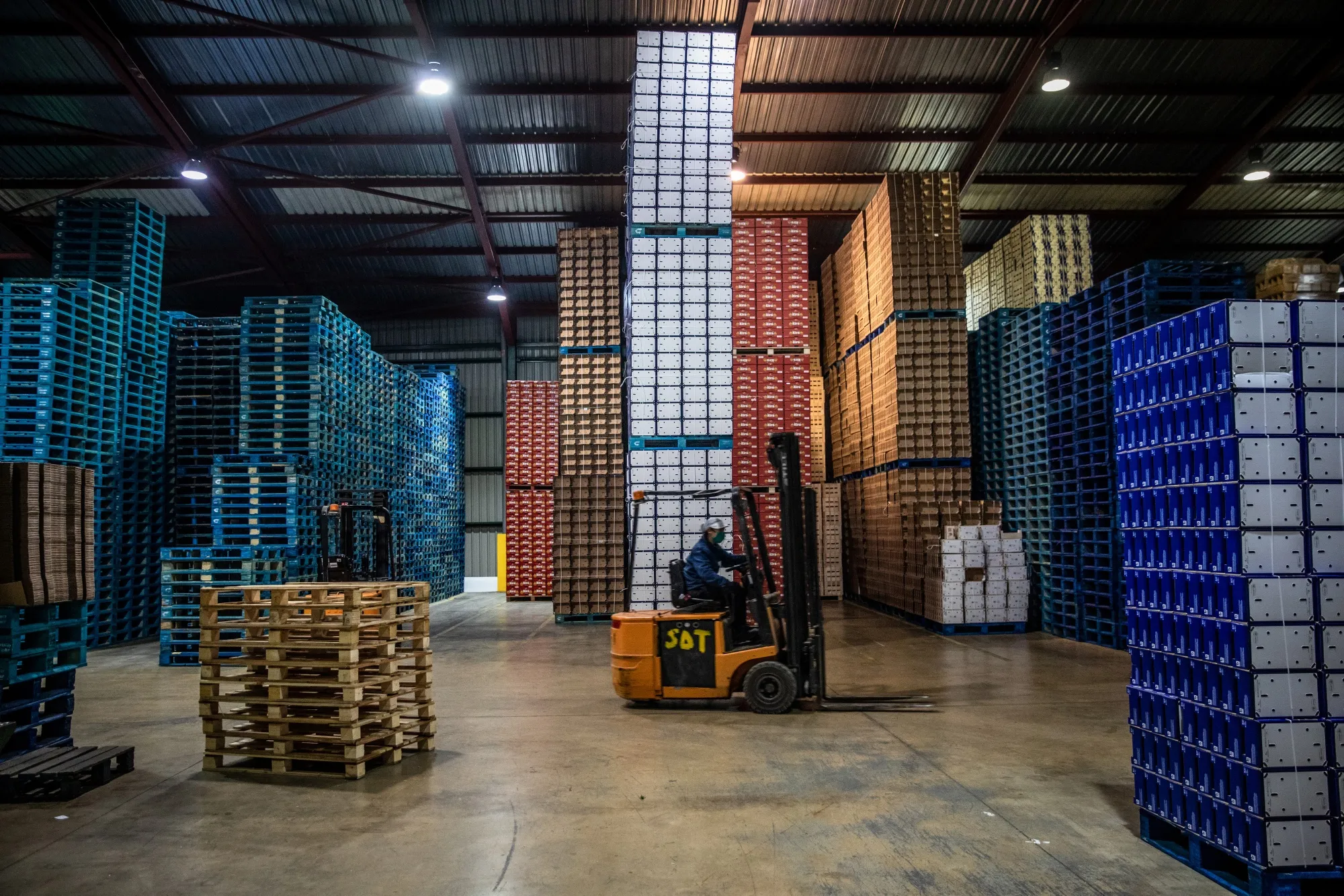 Spanish Clementine Farming as Europe's Citrus Growers Get Unexpected Lift From Covid