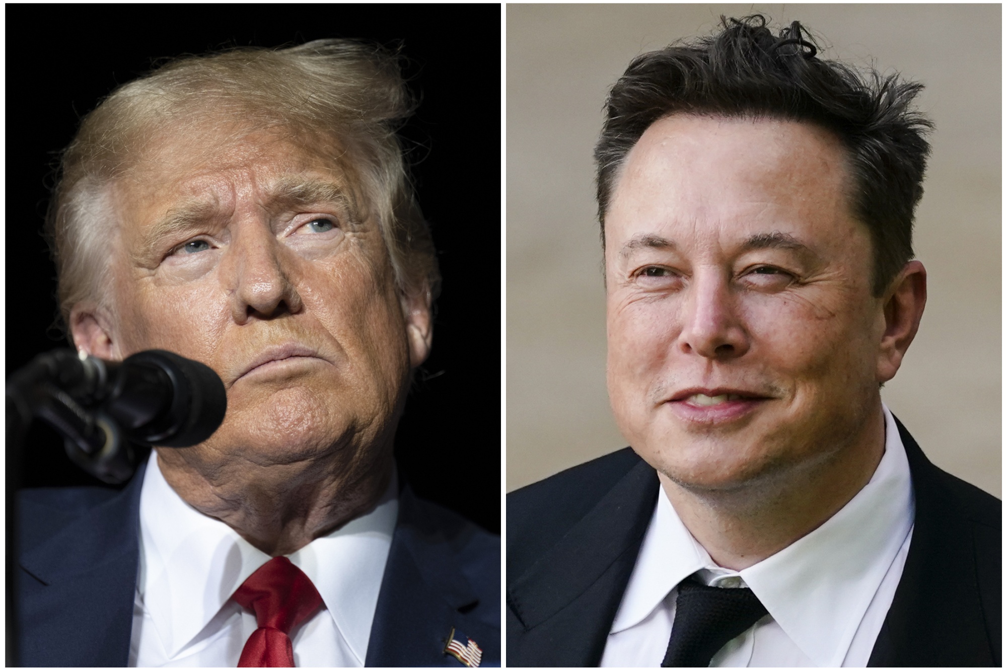 Transcript: Does Musk Have a Plan When It Comes to Trump? - Bloomberg