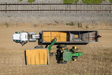 Corn Steadies as Crop Tour Set to Kick Off and Assess US Fields