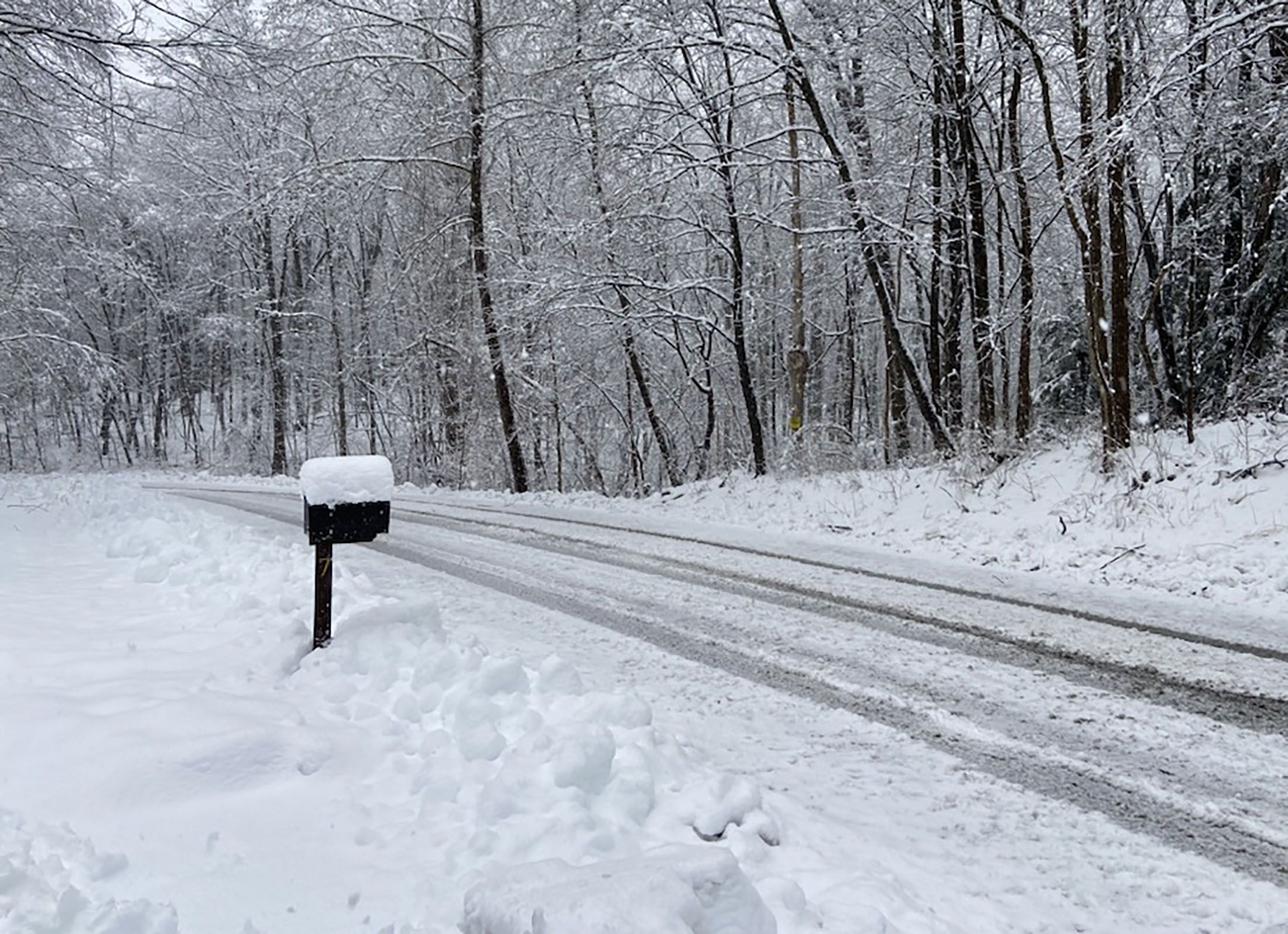 New York City Dodges Worst Snow Even as Flights Are Grounded Bloomberg
