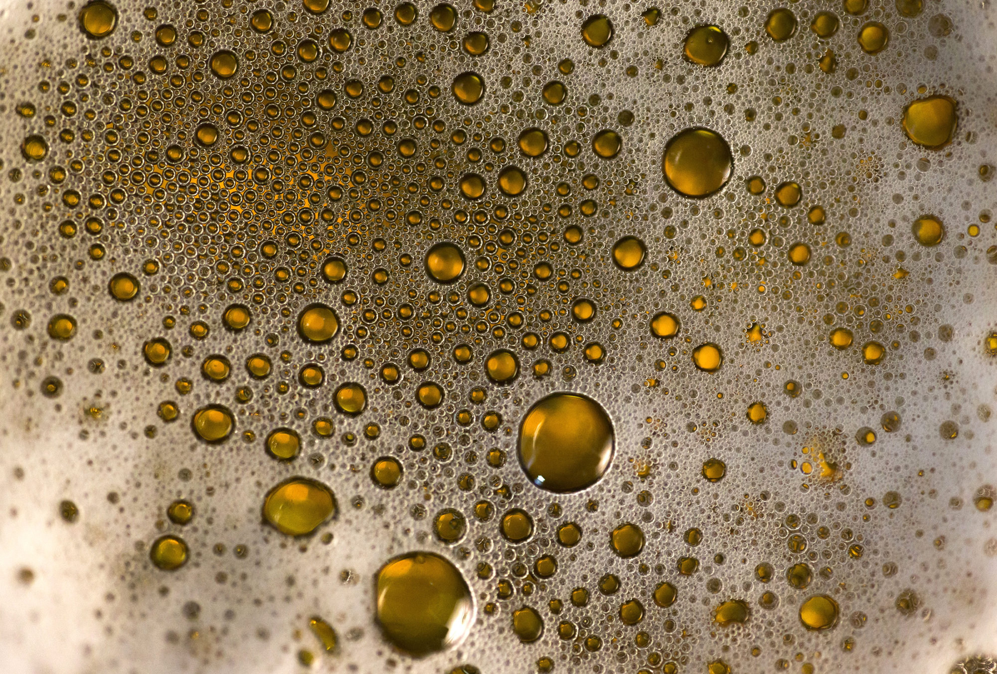 CO2 Shortage Puts Beer Supplies In Danger Until September Bloomberg    1x 1 