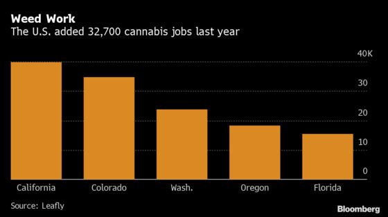 Layoffs Abound But Pot Is Still a Jobs Creator: Cannabis Weekly