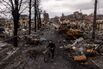 Russian Retreat From Bucha Reveals Scores Of Civilian Deaths