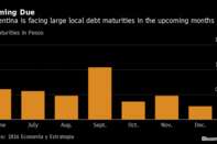 Coming Due | Argentina is facing large local debt maturities in the upcoming months