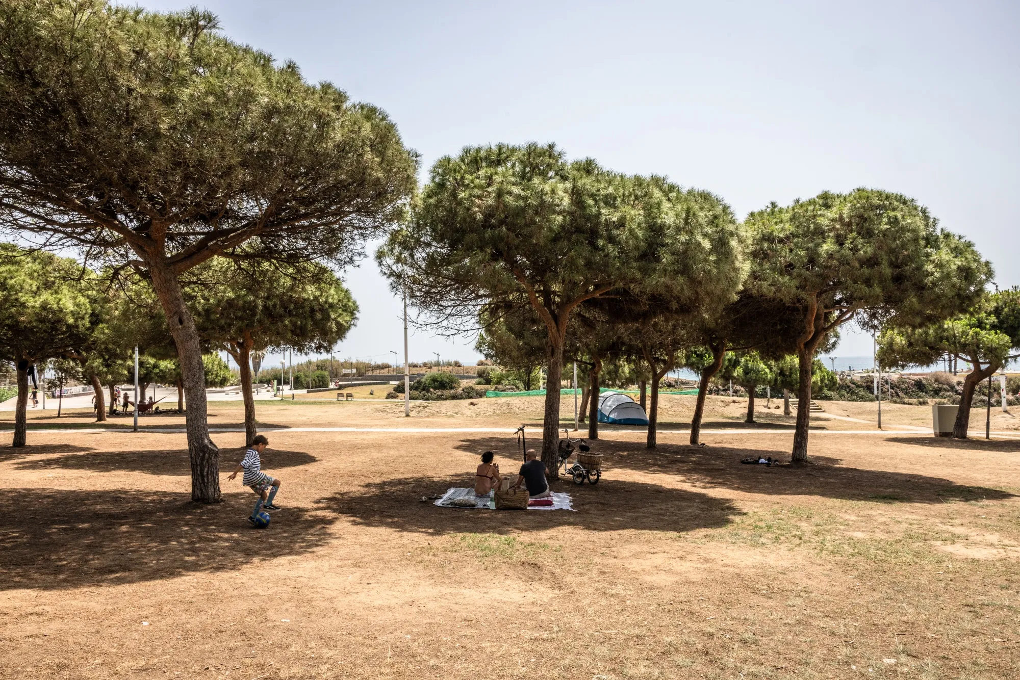 Visitors sit in the shade at Barcelona’s&nbsp;Poblenou Park during a heat wave in July&nbsp;2023.&nbsp;