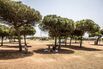 Extreme Drought Is Wreaking Havoc on Daily Life in Spain