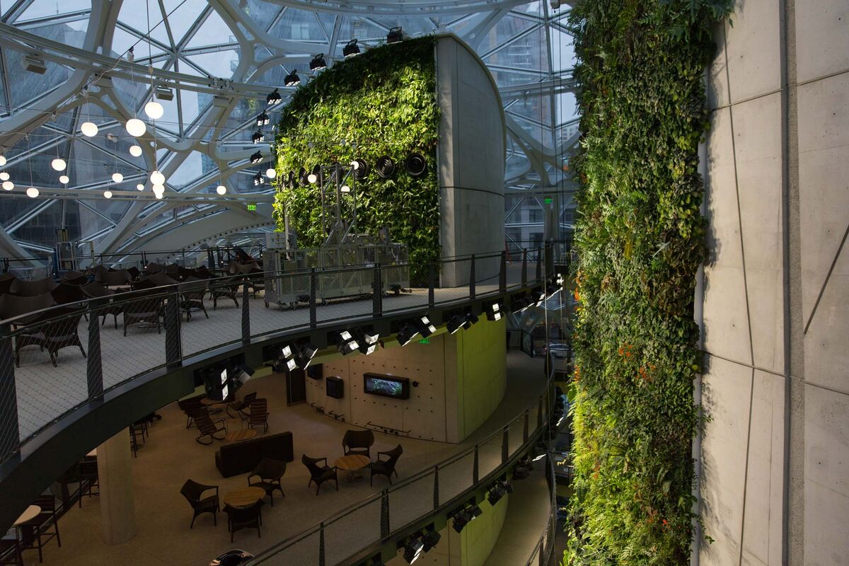 Inside Amazon S Giant Spheres Where Workers Chill In A Mini Rainforest Bloomberg