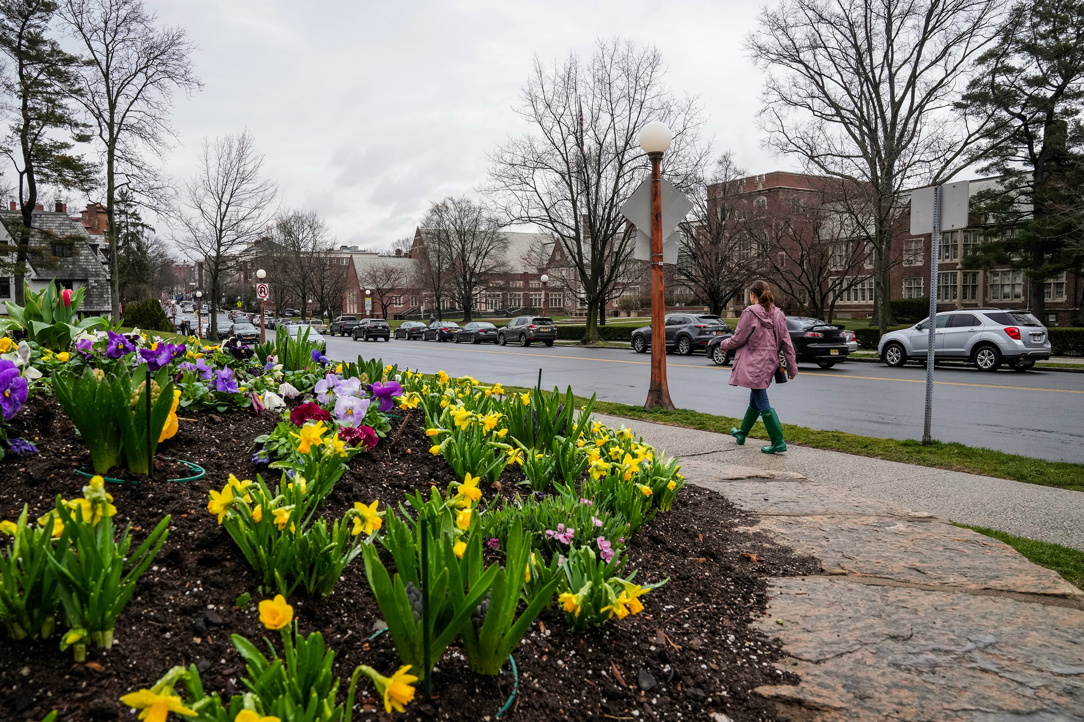 Cities Need to Build Faster, Cheaper Public Parks - Bloomberg