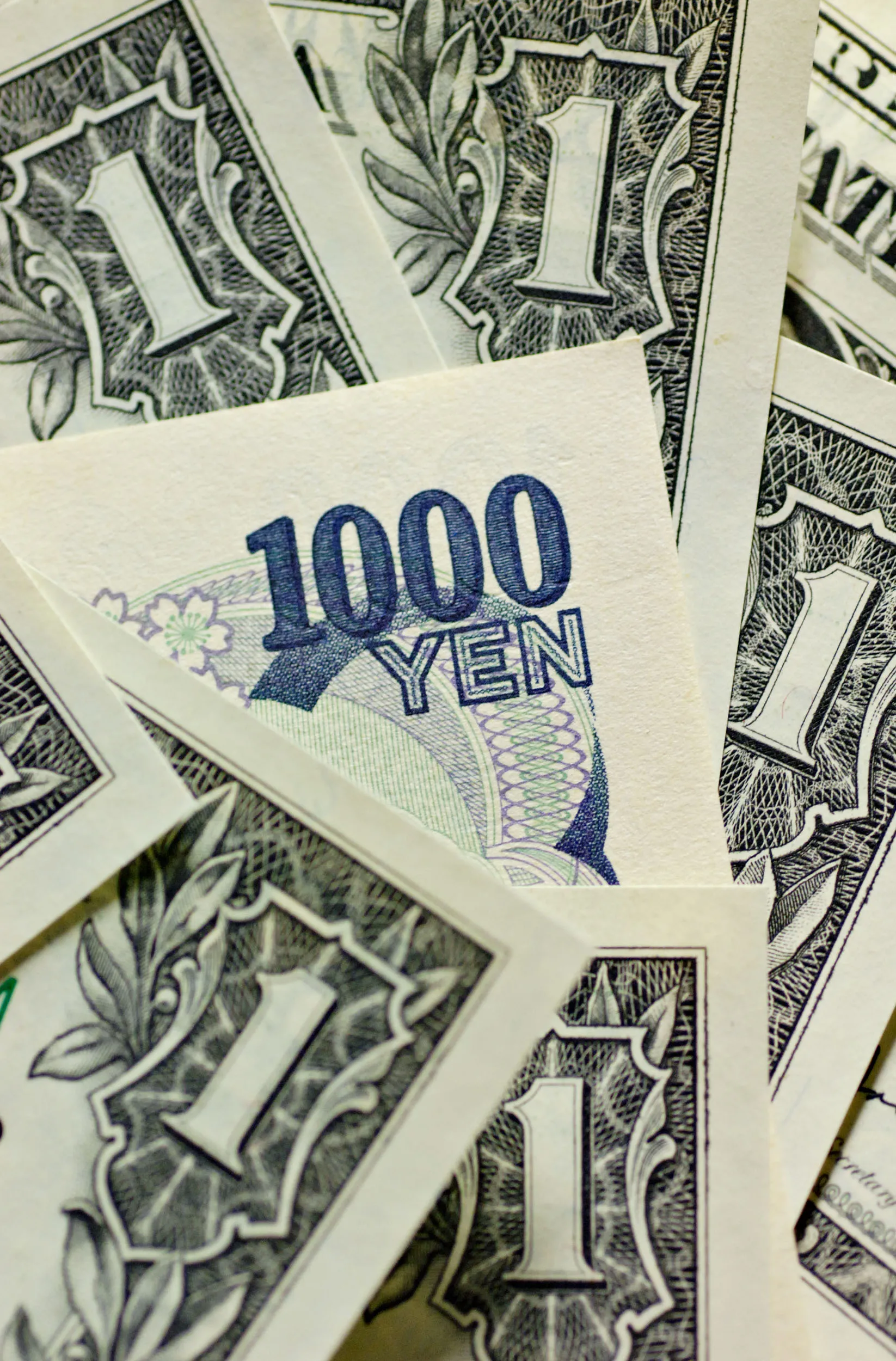 ドル・円は144円半ば、米休場で様子見－豪中銀据え置きで豪ドル下落 - Bloomberg