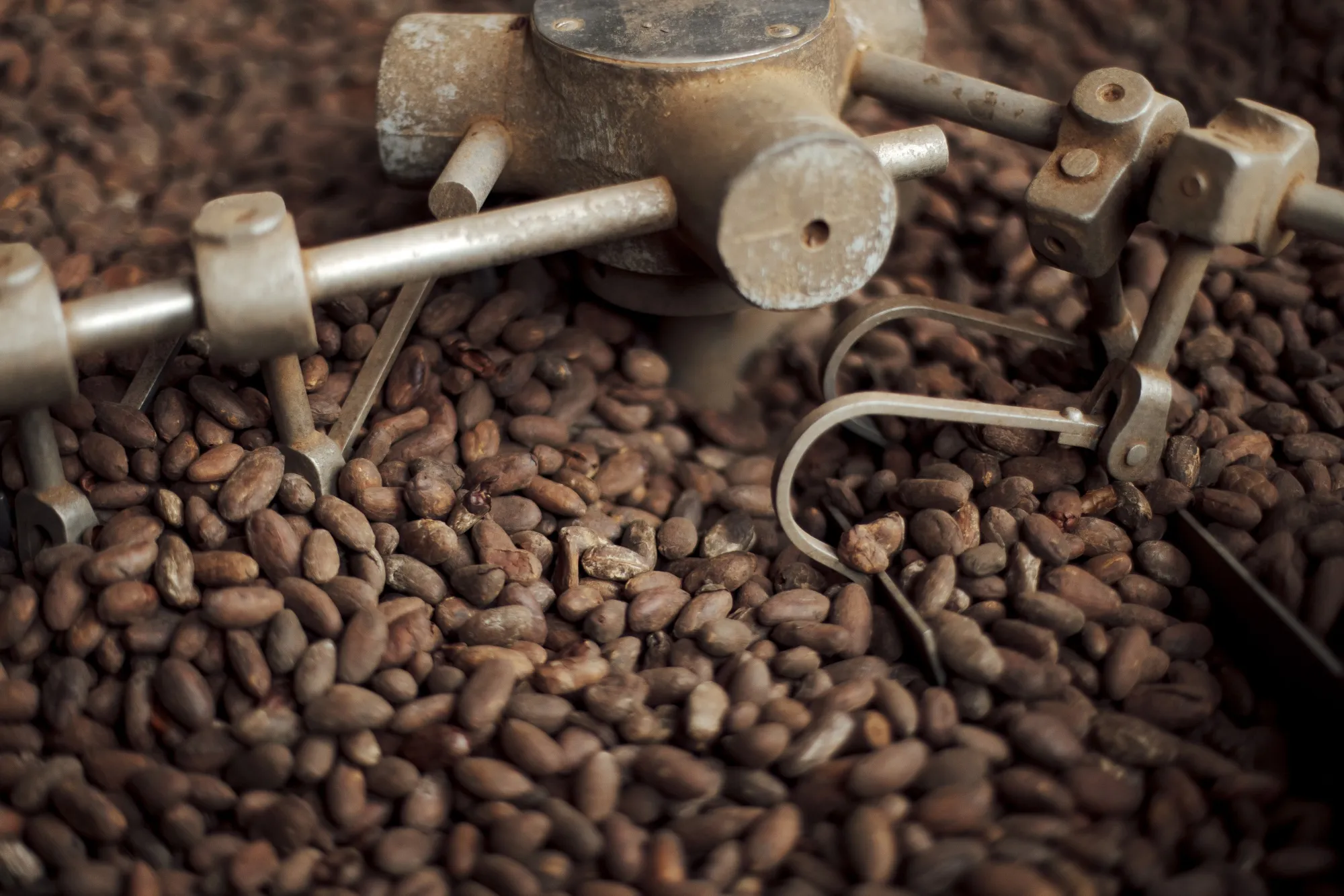 Cocoa bean roasting at a chocolate factory in Paris.