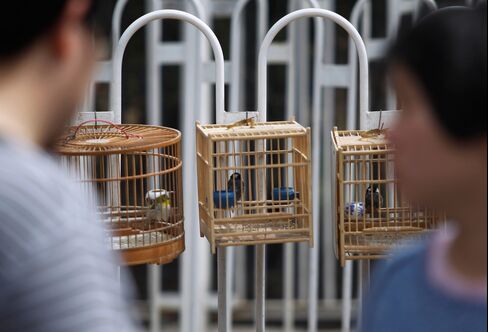 China Bird-Flu Death Toll Rises to 13 as H7N9 Virus Spreads