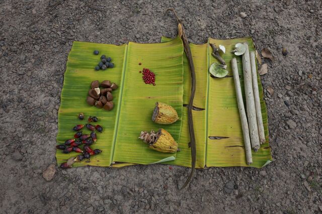 Amazonian products, including cacao, palm oil, and andiroba, at a farm in Tome-Açu, Pará.