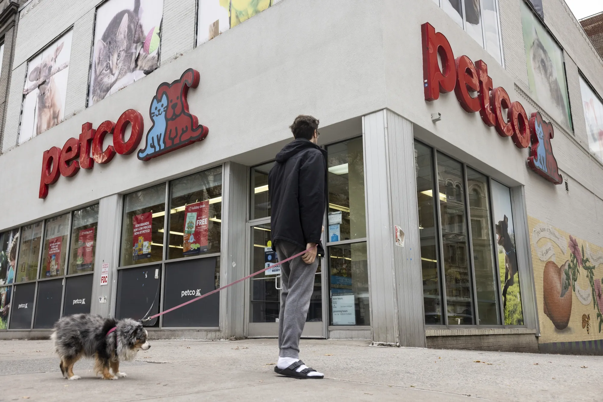 Petco sales discount