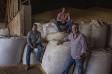 A portrait of Osvaldo Rubin Pasqualotto, left, and his sons Matheus Cury Pasqualotto, center, and Gustavo Santiago Pasqualotto at their farm in Sinop, Brazil.