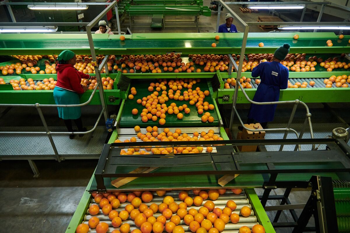 assets.bwbx.io image