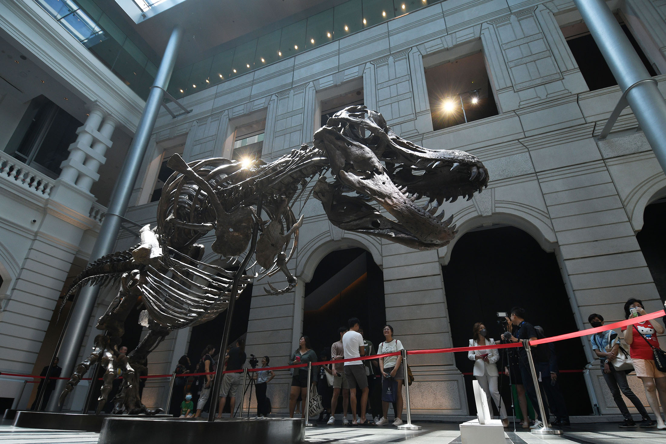 Visitors look at the skeleton of a Tyrannosaurus Rex named Shen at the Victoria Theatre and Concert Hall in Singapore on Oct. 28, 2022. The skeleton is displayed in Singapore from Friday to Sunday, before being auctioned in China's Hong Kong. (Photo by Then Chih Wey/Xinhua via Getty Images) Photographer: Xinhua News Agency/Xinhua News Agency