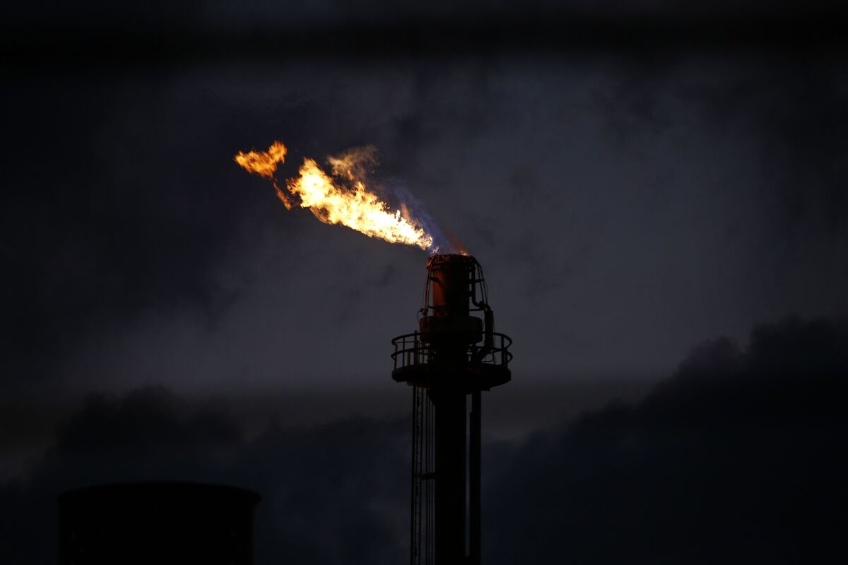 Nigeria Targets $3 Billion-a-Year Revenue From Carbon Trading Nigeria Targets $3 Billion-a-Year Revenue From Carbon Trading