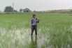 India’s Flooded Farmlands Mask a Water Crisis Deep Underground