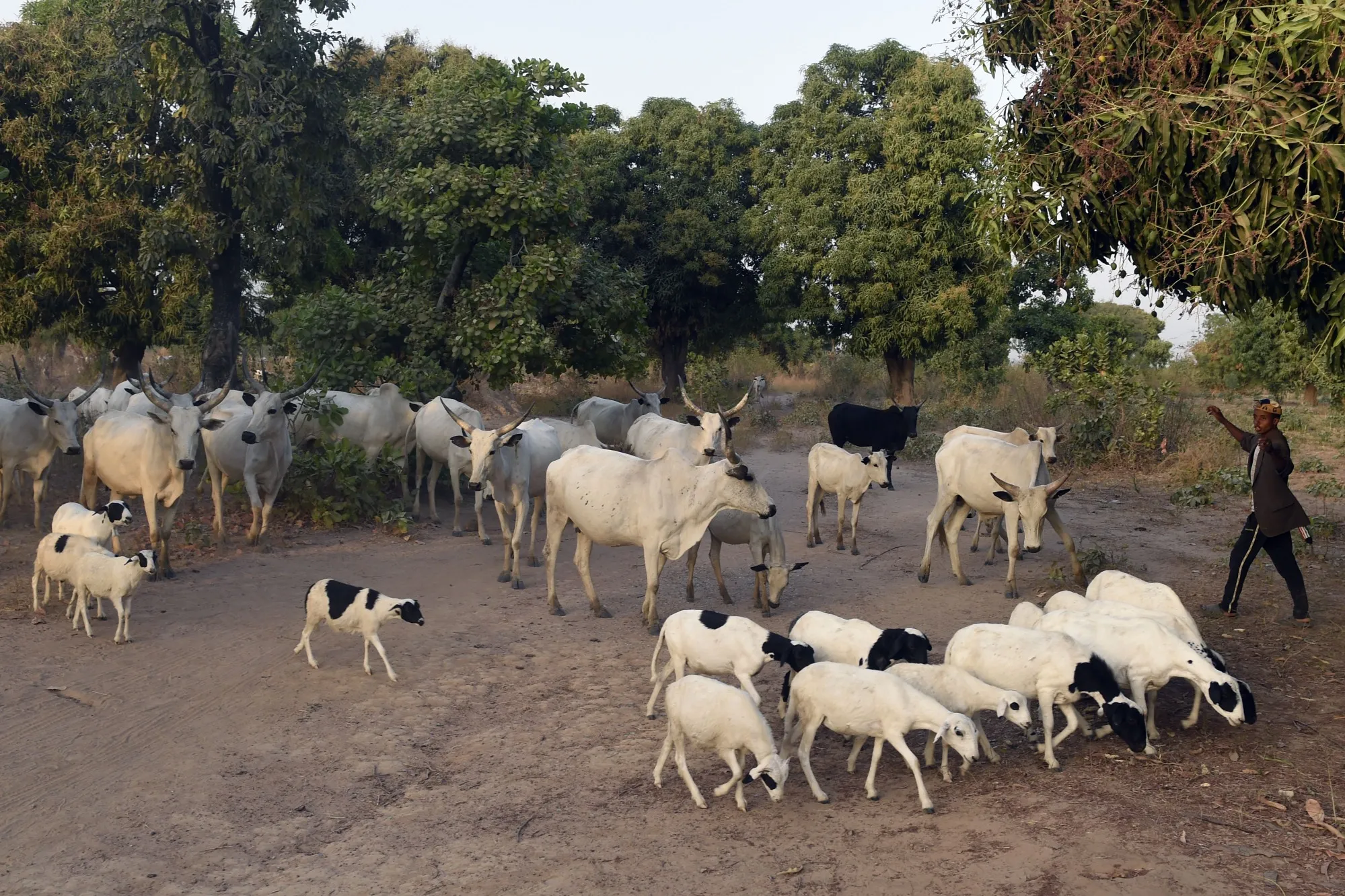 NIGERIA-UNREST-FARMING